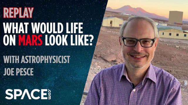 What would life on Mars look like?