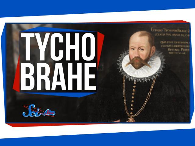 Great Minds: Tycho Brahe, the Astronomer With a Pet Elk