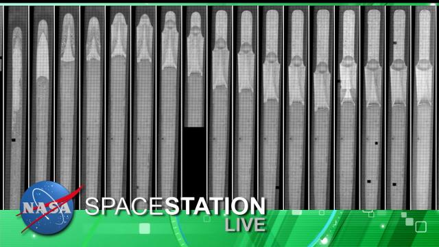 Space Station Live : Constrained Vapor Bubble
