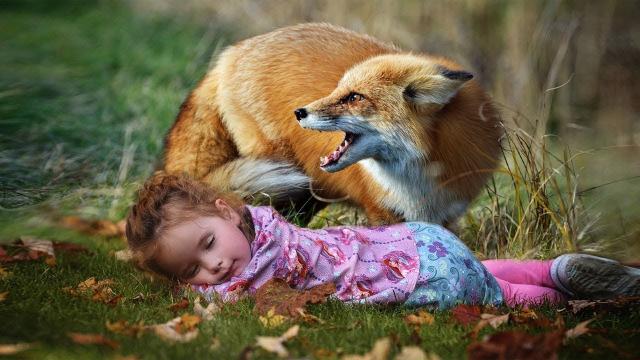Woman Feeds Wild Fox, Then Another Small Creature Starts to Appear