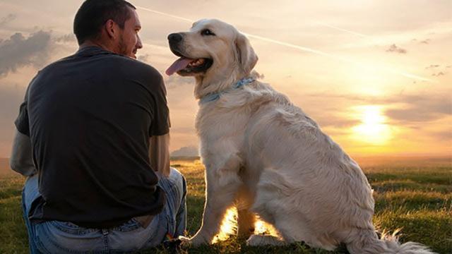 An Old Man Who Grows Up With His Pets Until He Gets Sick And Makes A Surprising Last Wish