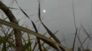 China UFO Sightings Best Daytime Sighting! April 3 2012