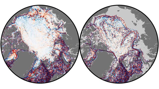 Arctic eddies