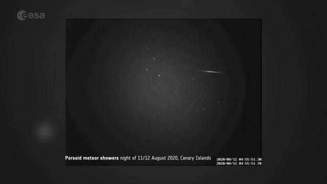 Dozens of Perseid meteors snapped by ESA camera on Canary Islands