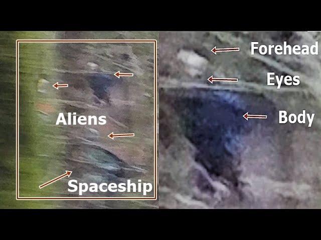 Olympia, Washington, a driver photographed three Aliens near a spaceship in a forest