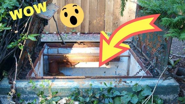 This Family Discovered A Hidden Door In The Backyard. Wait Until You See What They Found  WOW !