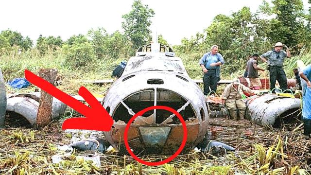 They Found This Plane Hidden In The Jungle, Then They Looked Inside