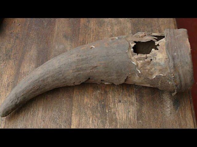 This 500 Year Old Medicine Horn Found In South Africa Is Shedding New Light On Old Healing Practices