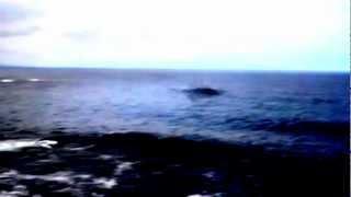 Breaking News UFO Crashes Pacific Ocean? Massive UFO Lights Up East Coast 2013