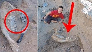 A Boy Fell While Hiking And Discovered A Million Year Old Stegomastodon!