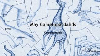 How Do You Pronounce Camelopardalids? | Video