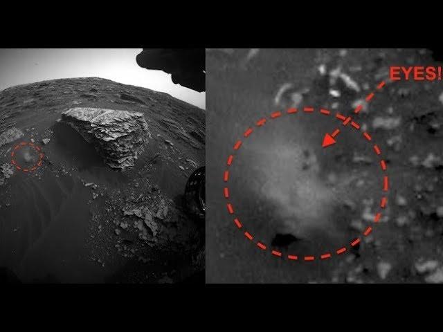 Alien Life Form Caught On NASA Rover Cam, June 13, 2018