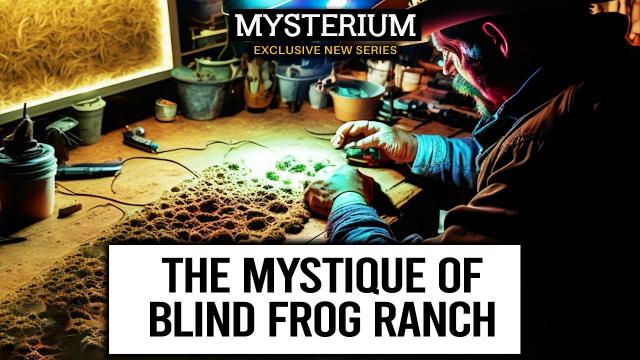 Unsolved Mysteries of Blind Frog Ranch: Portals, Strange Visions, Ancient Relics, and Hidden Tunnel