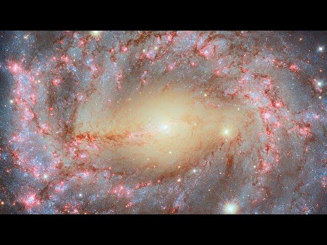 Pan: NGC 5643