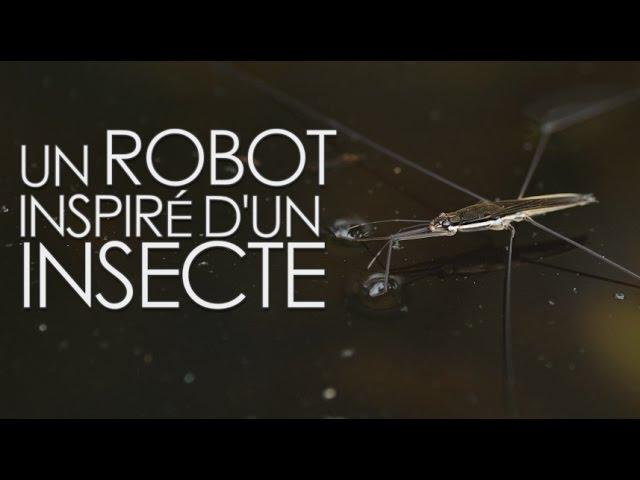 Un robot amphibie saute comme une araignée d’eau