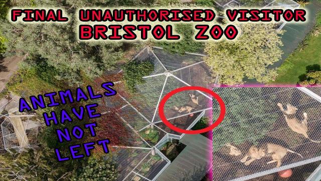 The FINAL unauthorised VISITOR to BRISTOL ZOO
