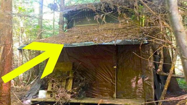 This Forest Ranger Stumbles Upon A Mysterious Cabin In The Woods With A Huge Surprise Inside