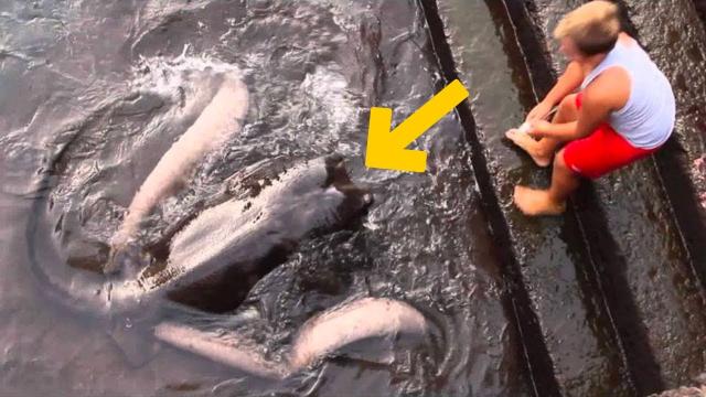 Boy washes his hands in the sea – but then something happens that he will never forget