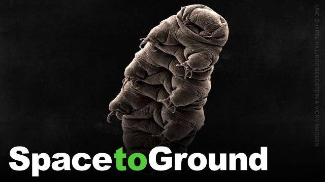 Space to Ground: Water Bears in Space: 07/16/2021