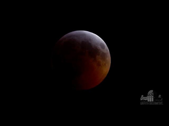 Total Lunar Eclipse! Super Blood Wolf Moon Turns Eerie Red