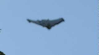 Incredible Unidentified Aircraft Over Myrtle Beach UFO Sightings! Today 2012