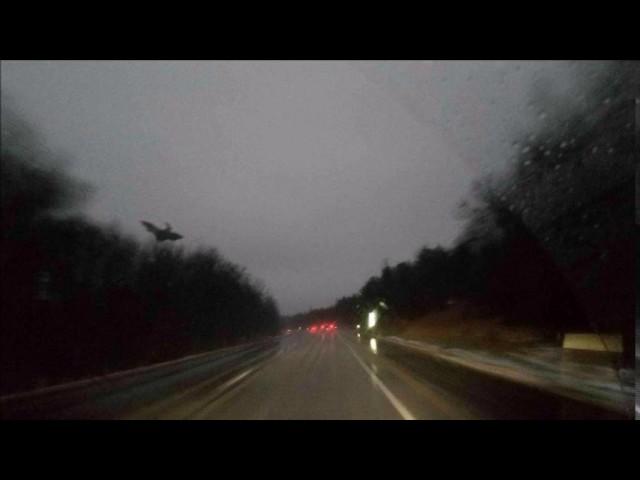 ‘Jersey Devil’ Photographed in Pennsylvania