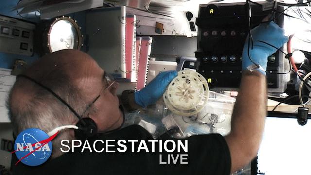 Space Station Live: The WetLab SmartCycler
