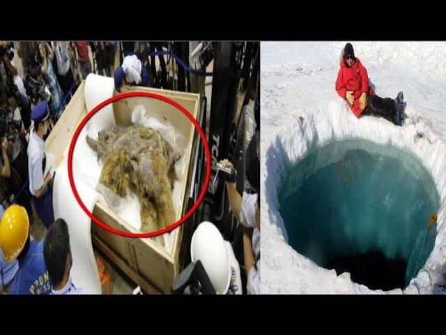 They Found The Most Mysterious Thing Frozen In Ice