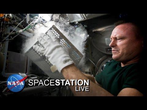 Space Station Live: Killing Bugs In Space