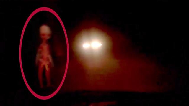 Alien OR Ghost? Mysterious Creature Caught on Tape | Unexpected Alien Sighting | Scary videos
