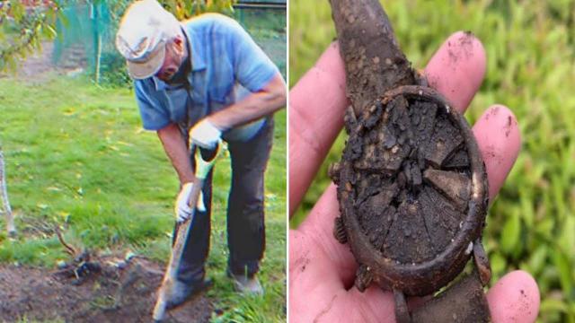 He Digs Up an Old Watch in His Garden and Finds Himself in Deep Trouble
