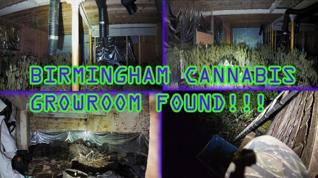 BIRMINGHAM CAN~~~BIS  GROWROOM FOUND