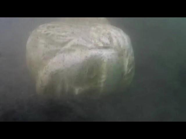 STONE HEAD FOUND IN LAKE NEMI MAY BE FROM CALIGULA’S NEMI SHIPS