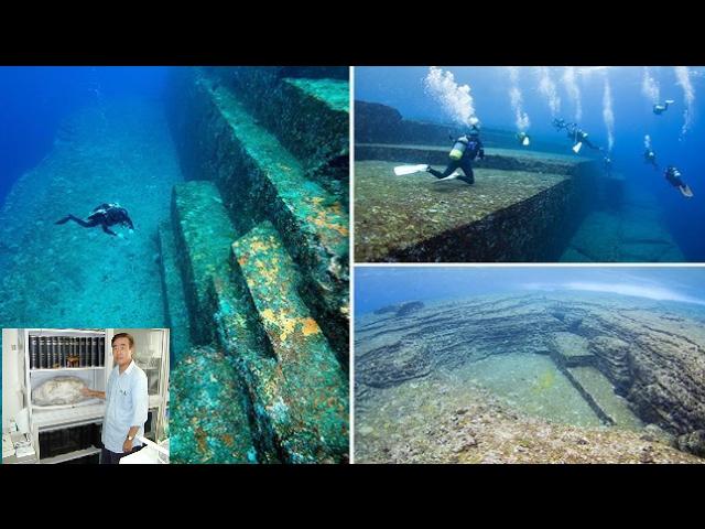 While diving off the coast of Japan divers never expected to come across THIS