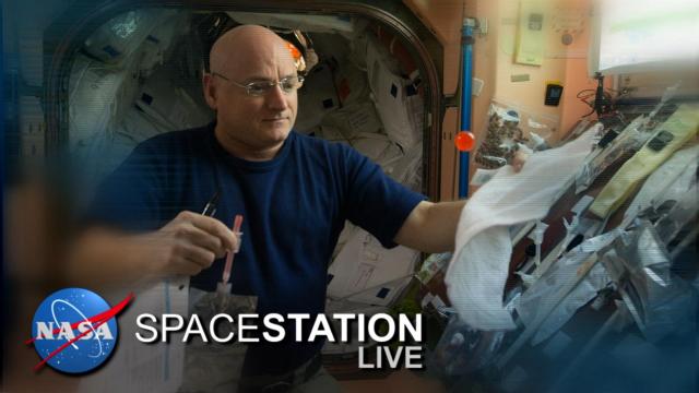 Space Station Live: Science of the Gut