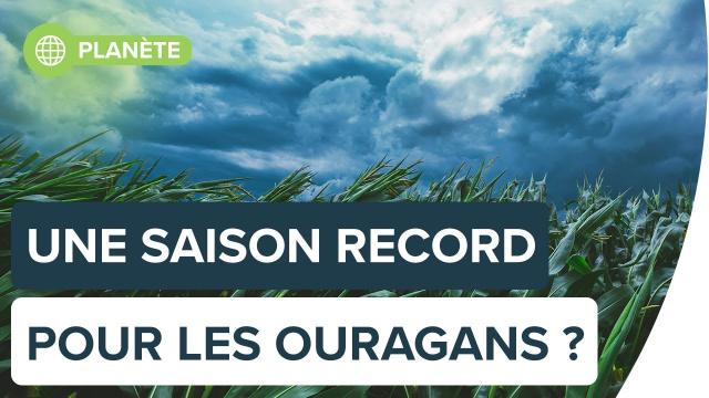 Ouragans dans l’Atlantique : une saison record en 2020 ? | Futura