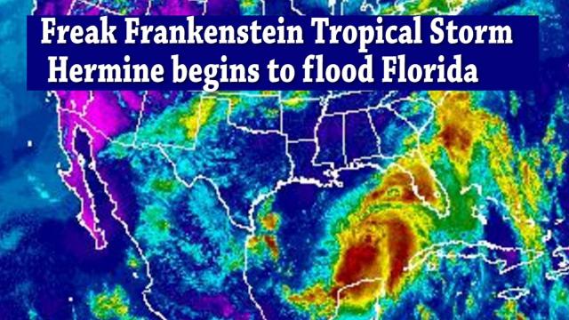 Freak Frankenstein Tropical Storm Hermine begins to Flood Florida & the East Coast