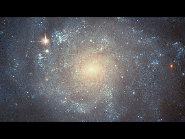 Pan: NGC 5668