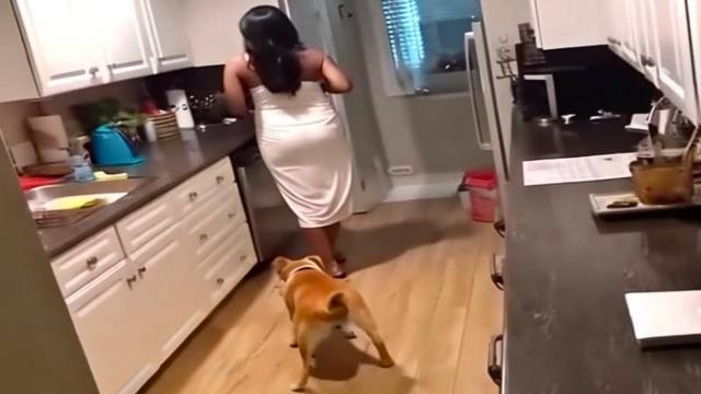 Housekeeper Had No Idea She Was Being Filmed - What Owner Captured Was Shocking