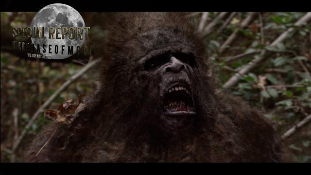 Could This Video Be the Clearest Evidence Of Bigfoot Yet? BUCKLE-UP!