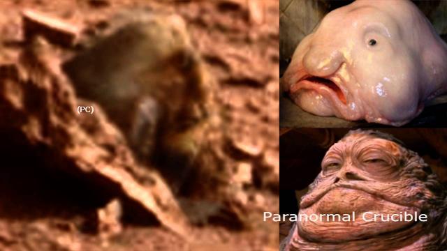 Mutant Jabba Found On Mars?