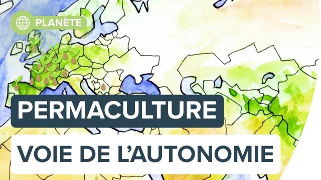 Permaculture : la voie de l’autonomie | Futura