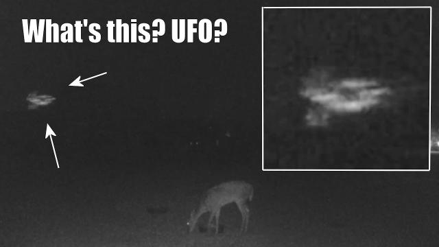 What's this? UFO? Orlando, March 13, 2021