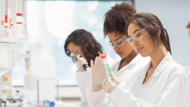 What is the role of mentorship in science?