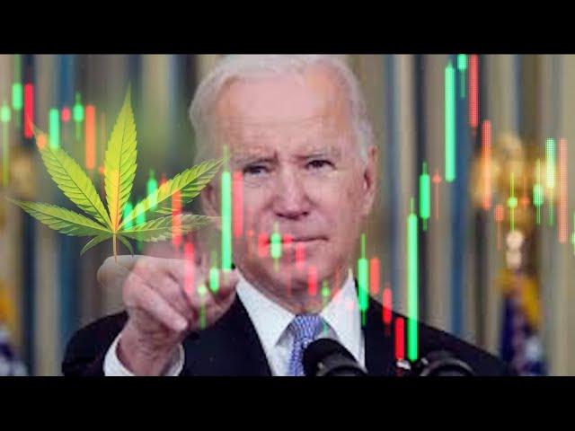 AlienScientist.com Updates + Joe Biden Legalizes Weed!