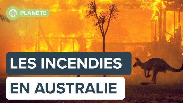 2019-2020, cet hiver où l’Australie est partie en fumée ! | Futura