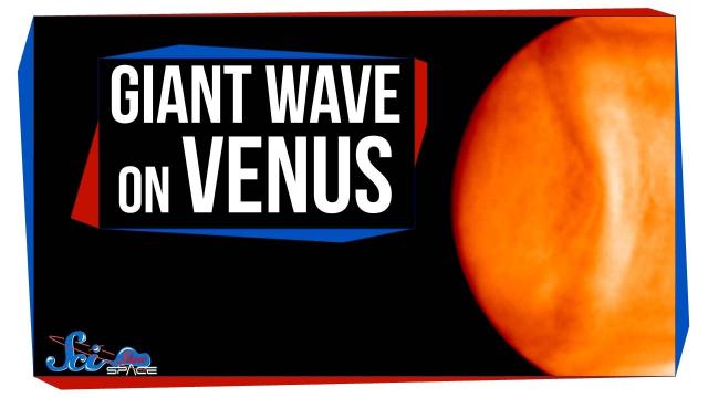 The Giant Wave on Venus