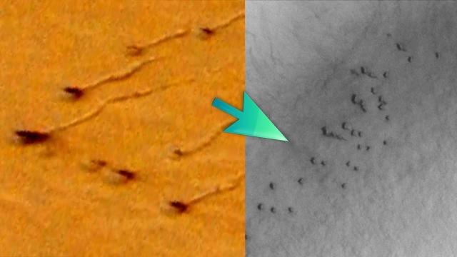 UFO ALIEN NEWS: A HEARD OF ANIMALS SEEN TRAVELING ACROSS THE SURFACE OF MARS?