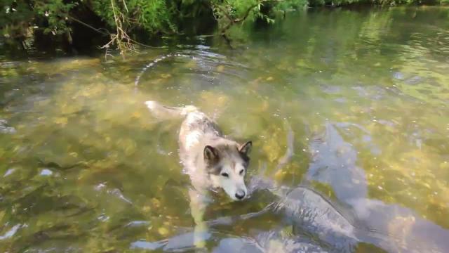 Angel Swims in River Pool 15 6 2023