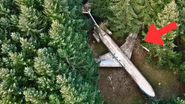 This Man Turned an Airplane Into His Home and The Inside Looks Pretty Special